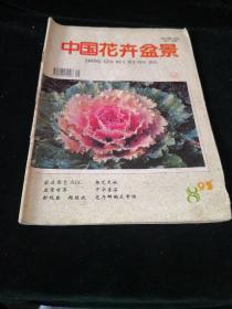中国花卉盆景1995.8