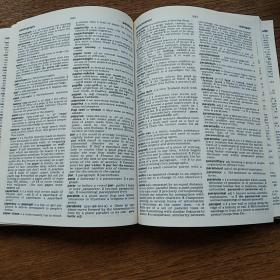 Large Print Dictionary