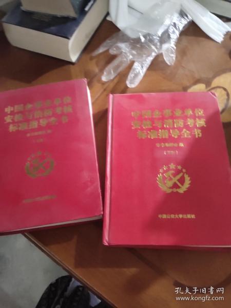 中国企事业单位安检与消防考核标准指导全书（上   下册）两本合售