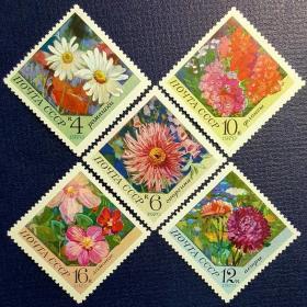 外国早期珍稀邮品终身保真【苏联邮票 1970年 43-0花卉/(菊花、大丽花等) 5全新】