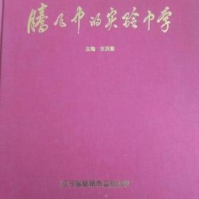腾飞中的实验中学