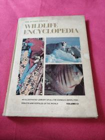 THE INTERNATIONAL WILDLIFE ENCYCLOPEDIA(VOLUME13)