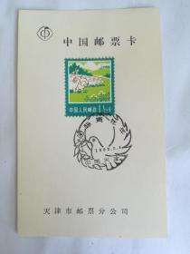 中国邮票卡，国际青年年，纪念邮戳