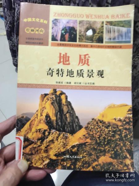 中国文化百科 壮丽河山 地质：奇特地质景观（彩图版）