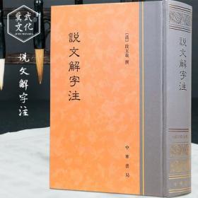 说文解字注全1册16开精装繁体竖排 (清)段玉裁撰中华书局正版字形考究字源的文字学著作 古代汉语字典 附部首检字音序检字笔画检字