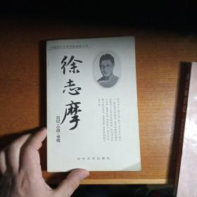 徐志摩日记，小说，书信（中国现代文学名家经典文库，参考作家鲁迅日记书信，胡适日记，吴宓日记，竺可桢日记全集等）