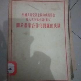 关于农业合作化问题的决议