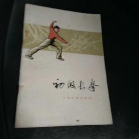 初级长拳