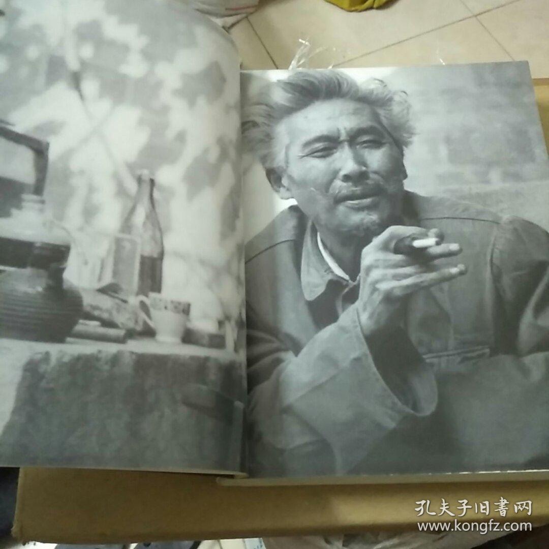 石鲁的时代与艺术