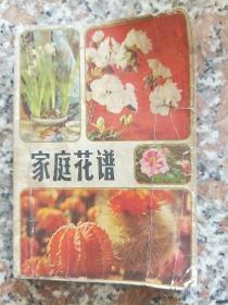 家庭花谱