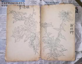 老白描册页2幅，大开本厚实可直接装框收藏，应出自哪位名人手笔，低价让