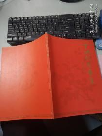 丁炳 顾宇画集 作者签名印章