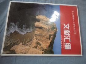 术后持续伤口局部镇痛装置文献汇编 2010年第一卷 第一期 创刊号