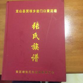 张氏族谱（龙山县贾坝乡岩门口黄泥塘）、