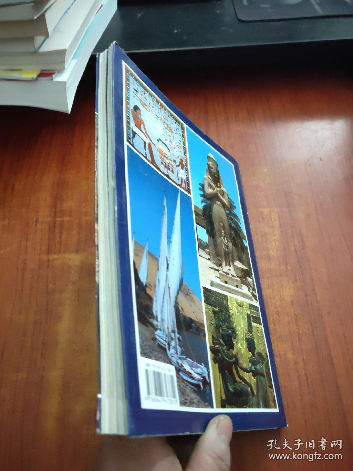 埃及艺术和历史（中文版）