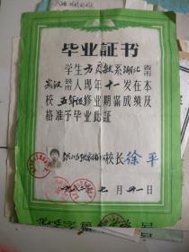 毕业证书             1982年洪山区张家铺小学