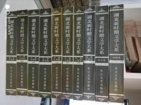 湖北新时期文学大系：中篇小说卷上中下、儿童文学卷上下,短篇小说卷 诗歌卷 散文卷 报告文学卷  文学评论卷全十册 长江文艺出版社