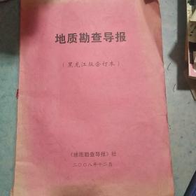 《地质勘察导报》黑龙江版合订本 2008年12月全年 私藏 书品如图