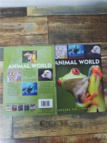 Questions and Answers: Animal World【精装】