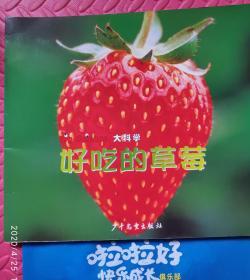 大科学 植物篇（五册中的四册） 冲天小竹笋，蔬菜花儿，好吃的草莓，种子高飞