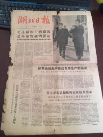 湖北日报：1966年11月7日毛主席的正确路线是革命胜利的保证