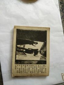 连环画基度山伯爵之八《少女的命运》胡克礼，恽南平绘画82年一版一印缺封底。