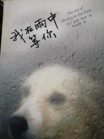 我在雨中等你