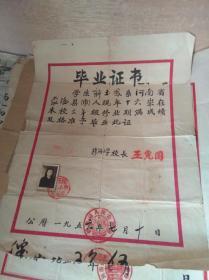 1956年毕业证