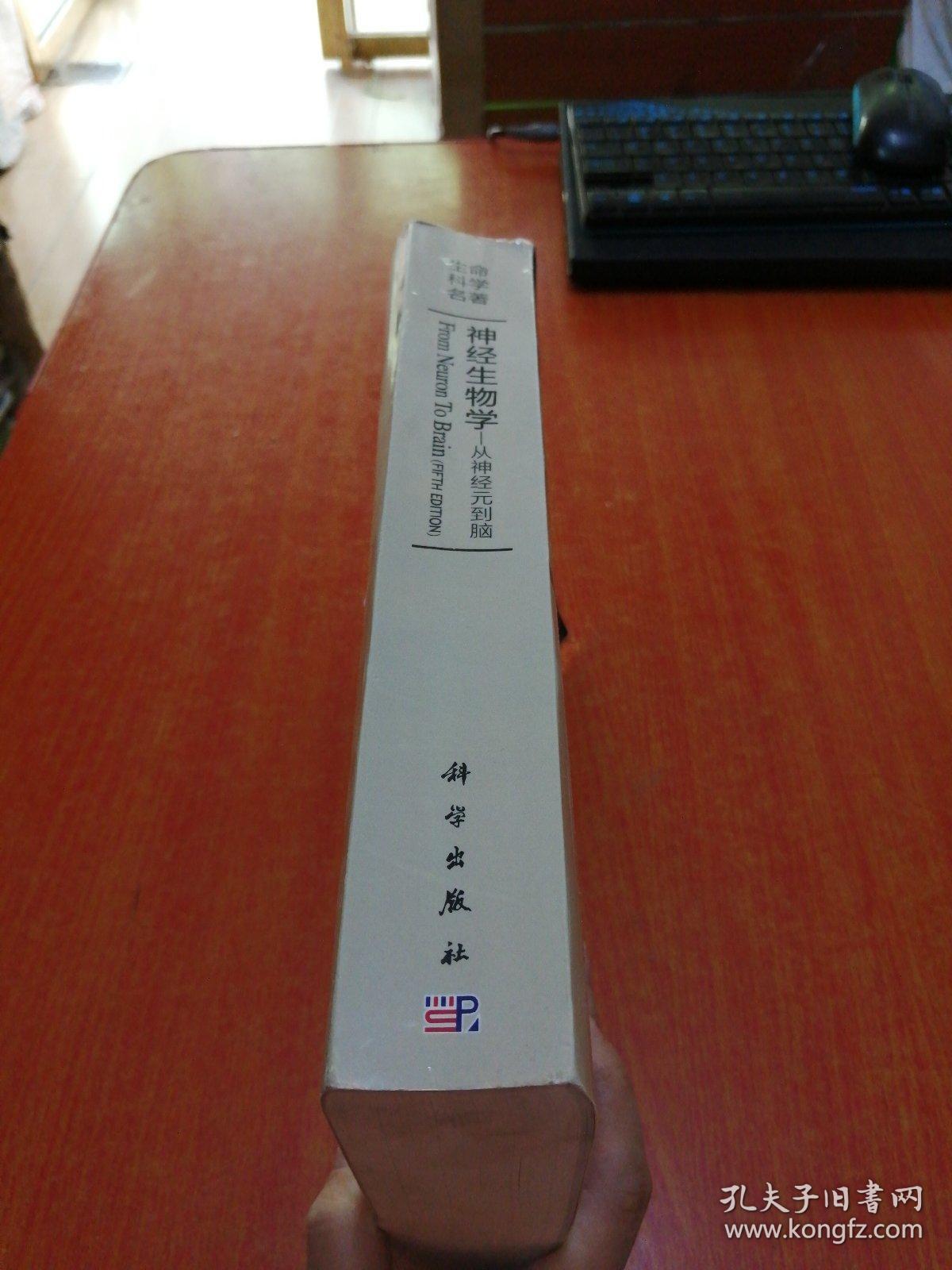 神经生物学——从神经元到脑（原书第五版）