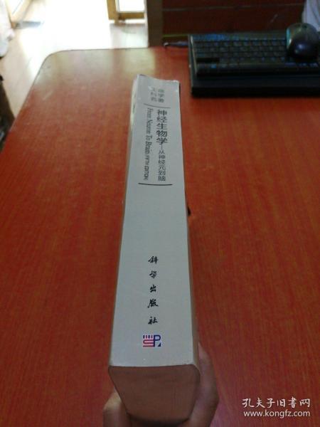 神经生物学——从神经元到脑（原书第五版）