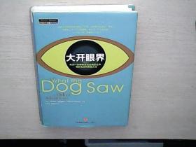 大开眼界：用另一双眼睛看透这疯狂世界、奇妙生活和美丽人生