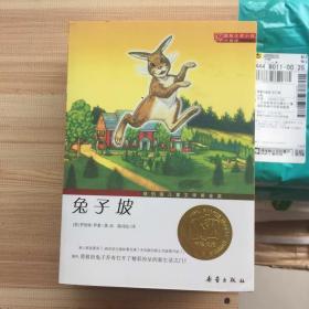 国际大奖小说（升级版）：兔子坡