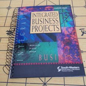 INTEGRATED BUSINESS PROJECTS