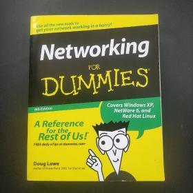 Networking for Dummies（英文原版，阿呆系列：网络  第六版）