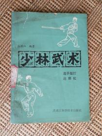 少林武术 连手短打、达磨杖