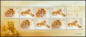 中国邮票 2004-19 保护动物-华南虎小版