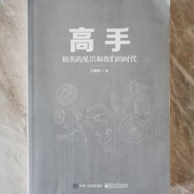 高手：精英的见识和我们的时代