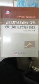 高效天然气形成分布与凝析、低效气藏经济开发的基础研究