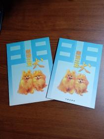总公司 广东省邮司 联发   忠诚之友犬  专题邮票册一个  (空  木有邮票的)