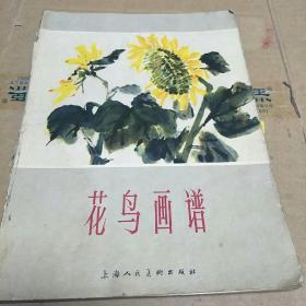 花鸟画谱(本书介绍花鸟、草虫、农作物、蔬果等画法示范图一百多幅。H架2排)