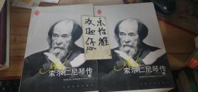 索尔仁尼琴传（上下）