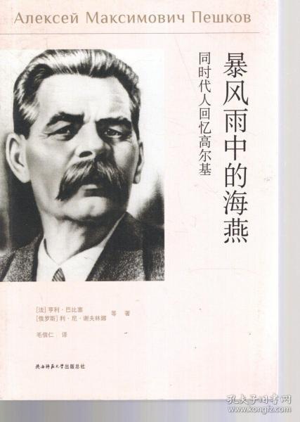 暴风雨中的海燕-同时代人回忆高尔基