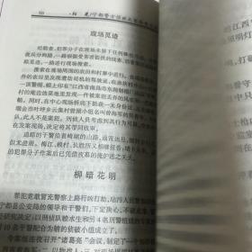 阳光。宁都破案实录