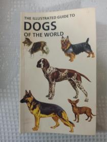 THE ILLUSTRATED GUIDE TO DOGS OF THE WORLD 世界犬类指南(英文版)