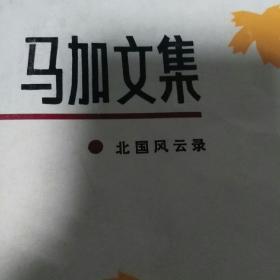 马加文集