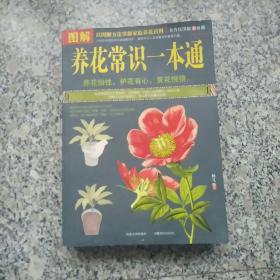 图解养花常识一本通（全方位图解美绘版）