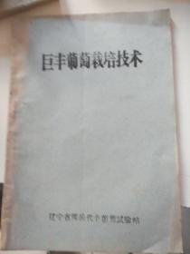 巨峰葡萄栽培技术辽宁省熊岳岱峰葡萄实验站。