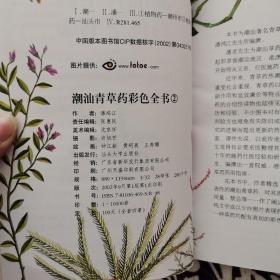 潮汕青草药彩色全书 第二册 2