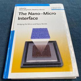 The Nano-Micro Interface - Bridging the Micro and Nano Worlds