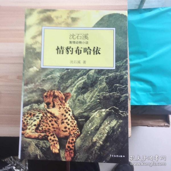 情豹布哈依：沈石溪激情动物小说